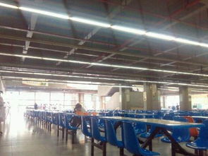 學(xué)校食堂窗口技術(shù)轉(zhuǎn)讓 機(jī)遇、流程與注意事項(xiàng)