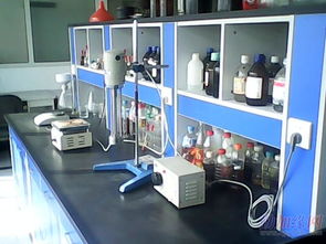 生物醇油技術(shù)轉(zhuǎn)讓合作 開啟綠色能源新篇章